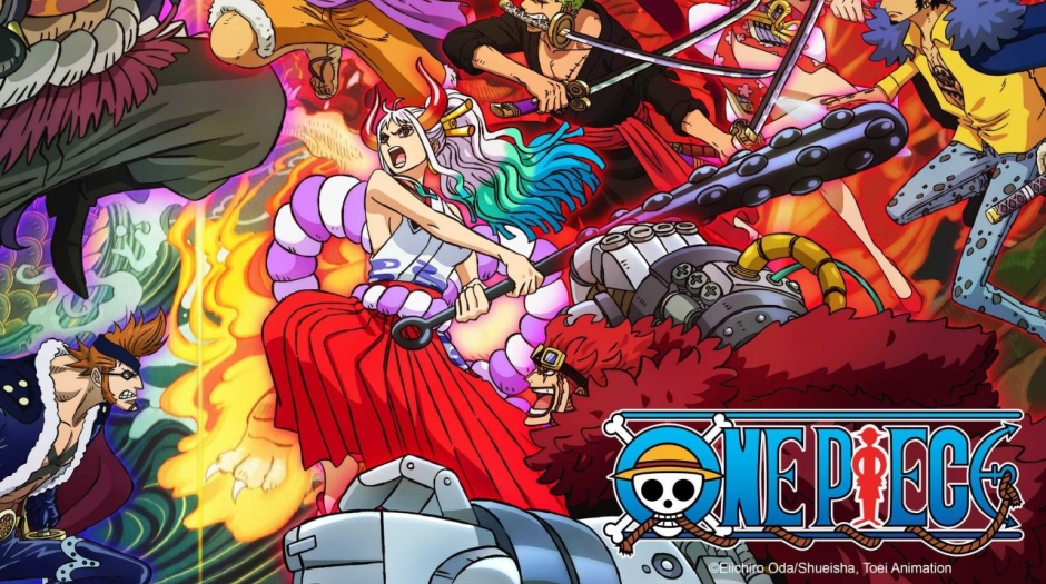 one piece side blog — the straw hat pirates in ep. 1000