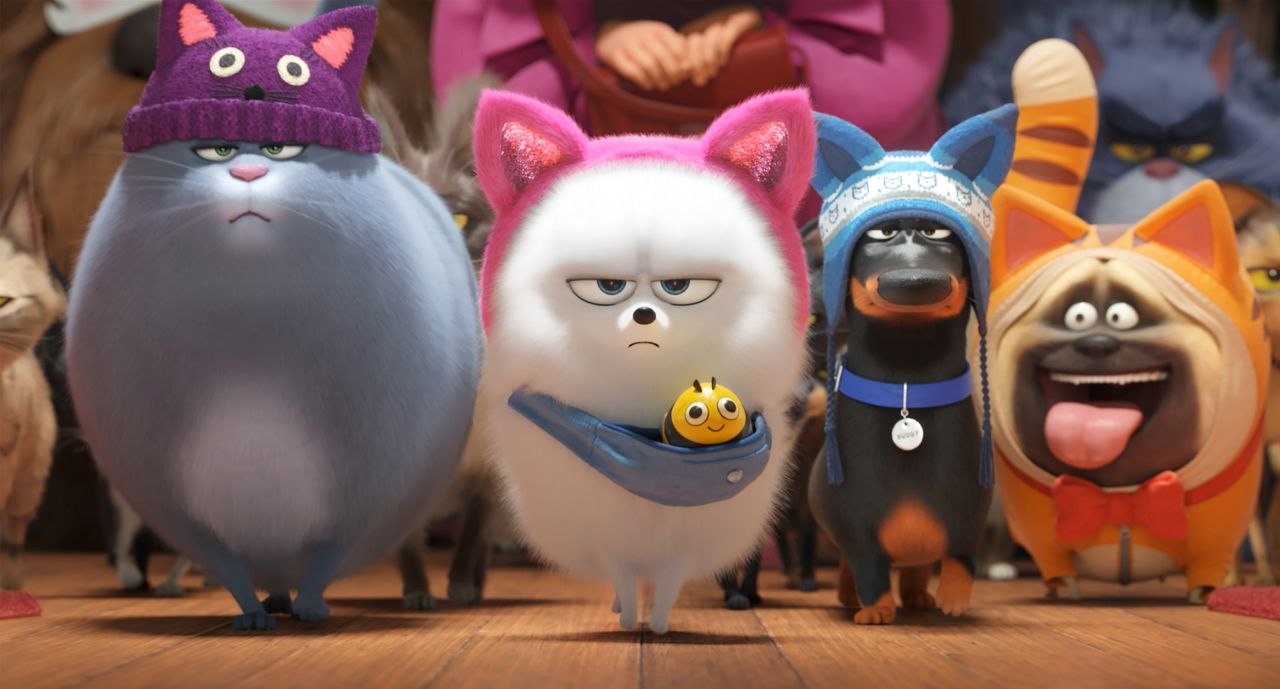 The Secret Life of Pets instal the last version for windows