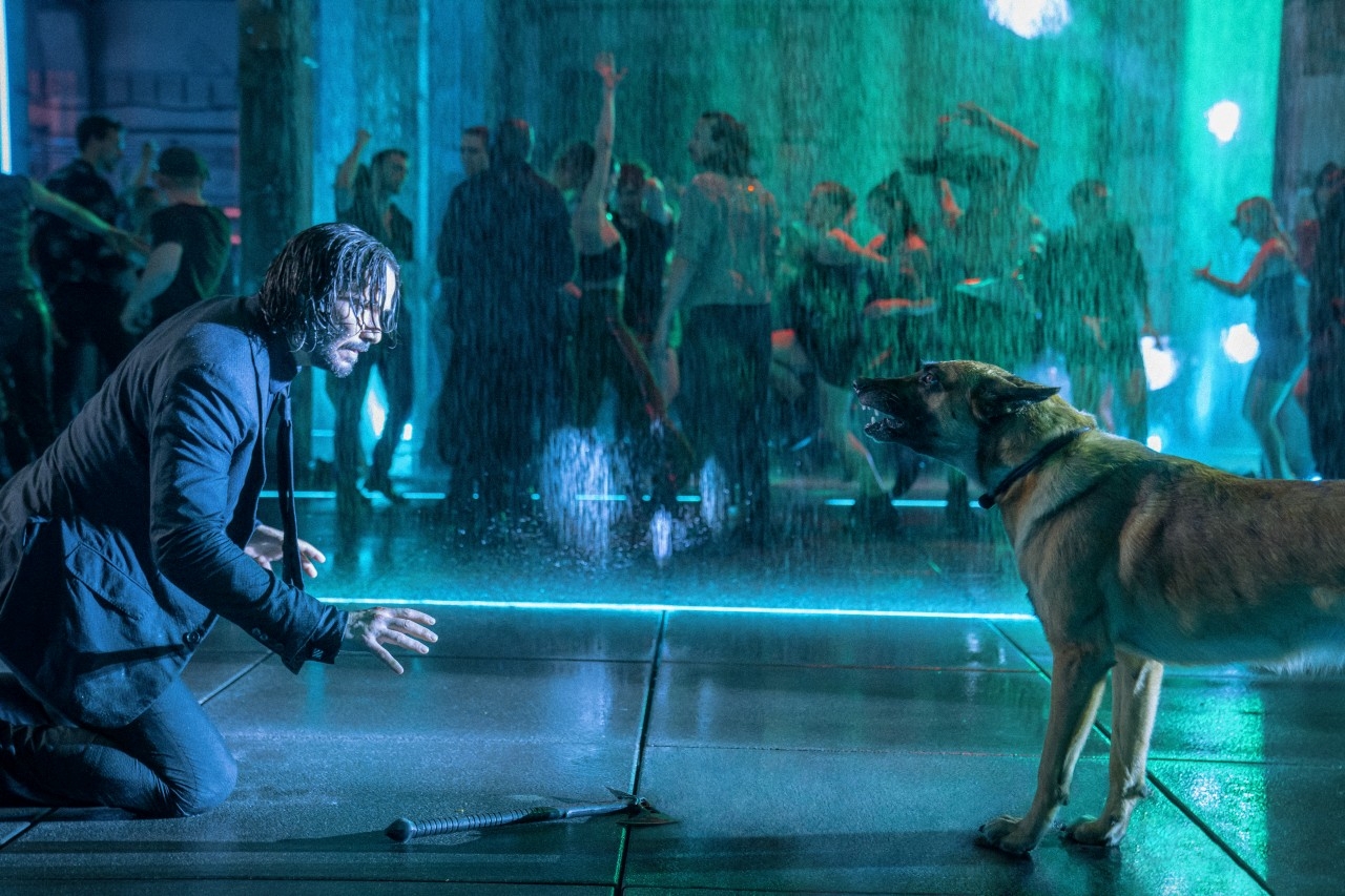 The fate of John Wick's dog in 'Chapter 4' - AS USA