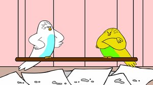 ‘The Parakeets:’ Who Knew Birdwatching Could be so Funny