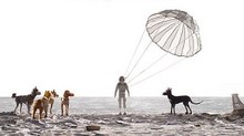 Wes Anderson’s ‘Isle of Dogs’ Set for 2018 Release