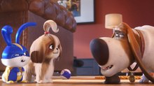 WATCH: ‘Secret Life of Pets 2’ Celebrates National Pets Day with New Trailer & Snapchat Lenses