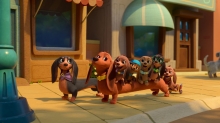 Apple TV+ Releases ‘Pretzel and the Puppies’ Official Trailer and Art